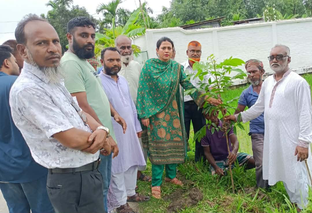 সারাদেশে ২৫ কোটি বৃক্ষরোপণ কর্মসূচি কাউনিয়ায় গাছ লাগানোর উদ্বোধন