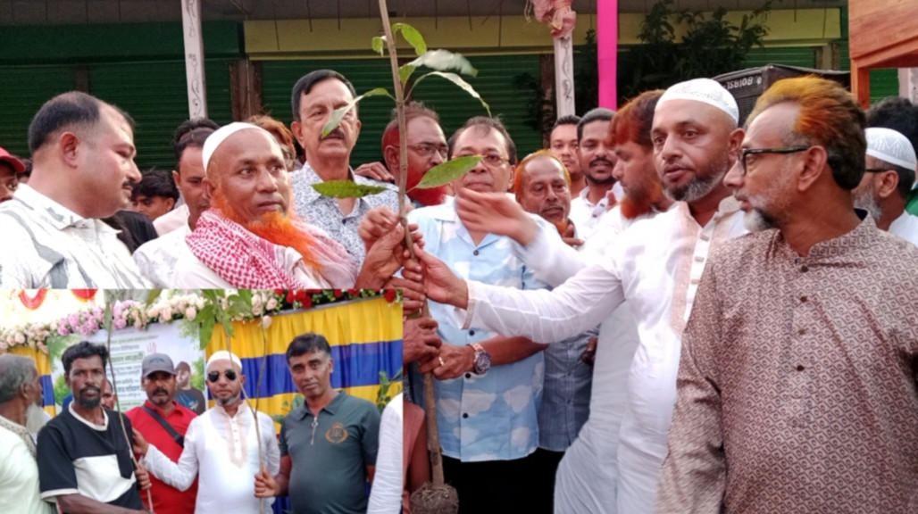 বোয়ালমারীতে চেয়ারম্যান পদপ্রার্থী এলিম বিশ্বাসের বৃক্ষ বিতরণ কর্মসূচি
