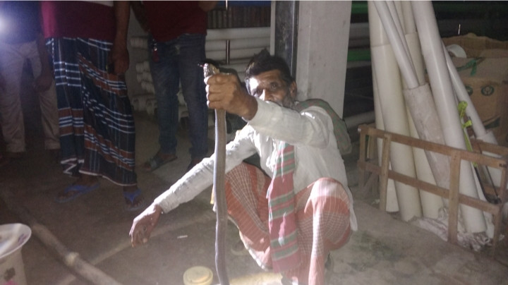 বোয়ালমারীতে স্যানিটারি ফিটিংসের দোকানে বিষধর সাপ উদ্ধার, অল্পের জন্য রক্ষা দোকান মালিক