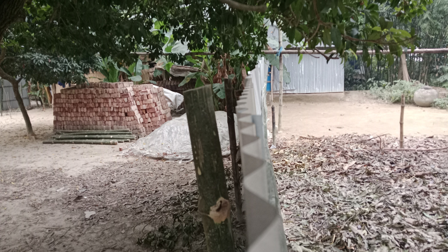 বোয়ালমারীতে ইউপি সদস্যের জমি জোরপূর্বক দখলের অভিযোগ  ১৪৪ ধারা উপেক্ষা করে টিনের বেড়া, আতঙ্কে পরিবার