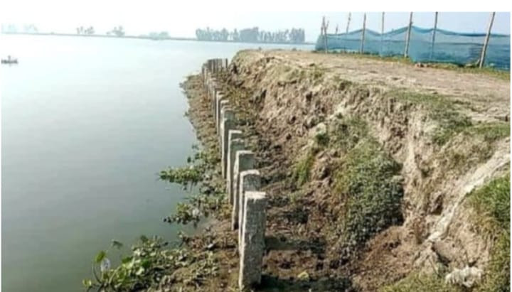 কোটালীপাড়ায় মৎস্য ঘেরের আগ্রাসনে সড়ক ধ্বংস, দিশেহারা ঠিকাদার ও জনসাধারণ